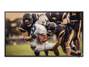 Samsung 65 Inch Pro TV - Terrace Edition Standalone Outdoor Display, QLED, 1500nit, 16/7 Manufactured in Mexico