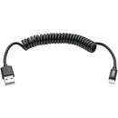 Tripp Lite 4ft Lightning USB/Sync Charge Coiled Cable for Apple Iphone / Ipad Black 4'