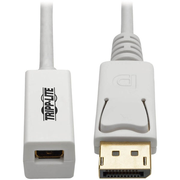 Tripp Lite 6in DisplayPort to Mini DisplayPort Adapter Cable 4k x 2k @ 60Hz M/F 6"
