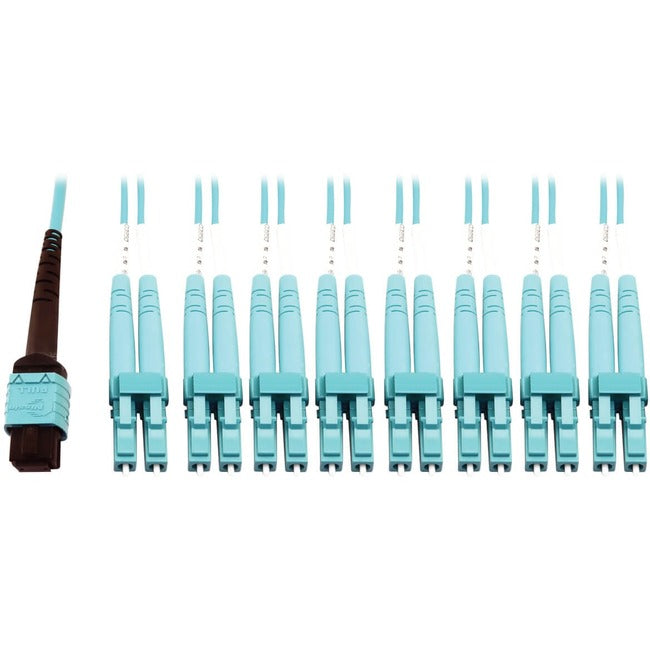 Tripp Lite Multimode Fiber Optic Breakout Cable 24F MTP/MPO-PC to x8 LC F/M 1M