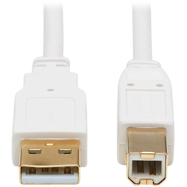 Tripp Lite Safe-IT USB-A to USB-B Antibacterial Cable (M/M), USB 2.0, White, 6 ft.