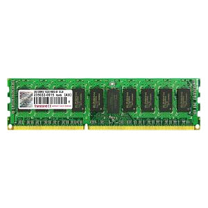 Transcend Information Transcend 2gb Ddr3 1333 (pc3 10666) Ecc Reg Dimm 240pin (256mx8 Major Brand Chip
