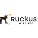 Ruckus Wireless Watchdog Advance Replacement, T310d, 3 Yr