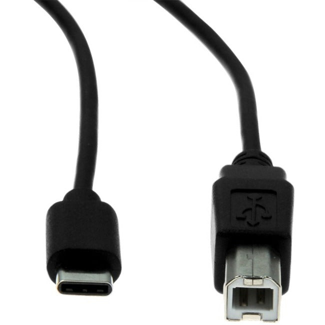 Rocstor Cable Usb-c To Usb-b - Usb Type-c Male