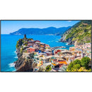 Panasonic Solutions Company 75 4k Uhd, 500cd/m2, Sdm, Led Lcd Display