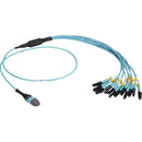 Black Box 3m Mtp Om3 Fiber Optic Harness Cable Plenum 12-strand