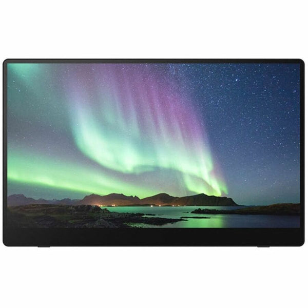 Ricoh Portable Monitor 150bw