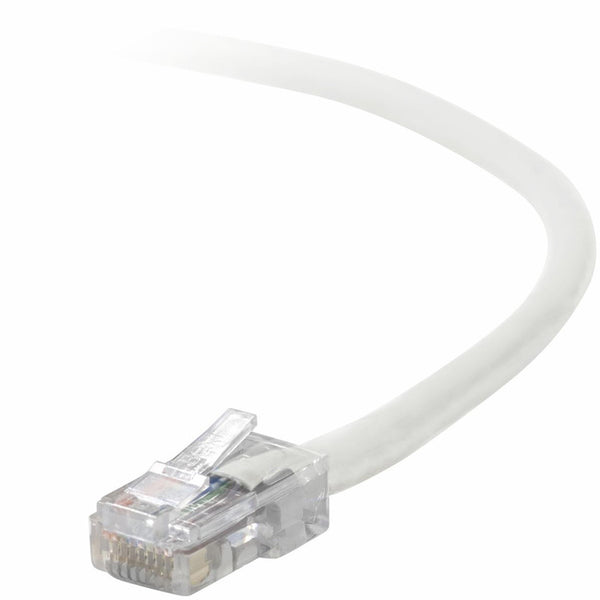 Belkin Cat5e Patch Cable - American Tech Depot