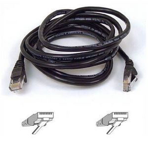 Belkin Cat5e Patch Cable - American Tech Depot