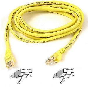 Belkin Cat6 UTP Patch Cable - American Tech Depot