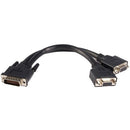 StarTech.com LFH 59 Male to Dual Female VGA DMS 59 Cable - American Tech Depot