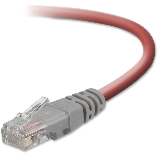 Belkin Cat5e Crossover Cable - American Tech Depot
