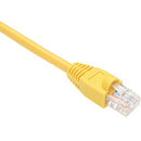 Unirise Cat.6 Patch Network Cable - American Tech Depot