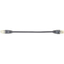 Black Box GigaBase CAT5e Reduced-Length Patch Cable, Blue - American Tech Depot