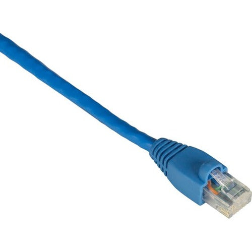 Black Box GigaTrue Cat.6 Patch Network Cable - American Tech Depot