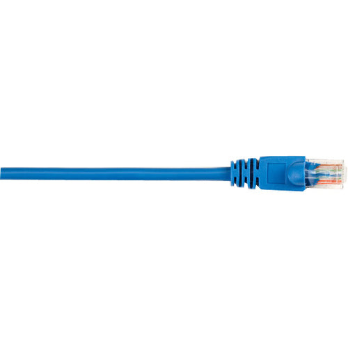 Black Box CAT5e Value Line Patch Cable, Stranded, Blue, 3-ft. (0.9-m) - American Tech Depot