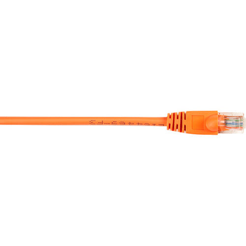 Black Box CAT5e Value Line Patch Cable, Stranded, Orange, 3-ft. (0.9-m) - American Tech Depot