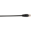 Black Box CAT6 Value Line Patch Cable, Stranded, Black, 1-ft. (0.3-m) - American Tech Depot