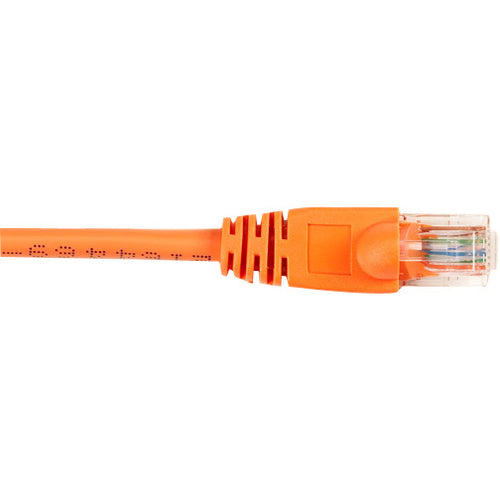 Black Box CAT6 Value Line Patch Cable, Stranded, Orange, 1-ft. (0.3-m) - American Tech Depot