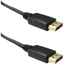Weltron DisplayPort Audio-Video Cable