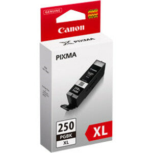 Canon 250PGBK Original Ink Cartridge - Twin-pack - Pigment Black