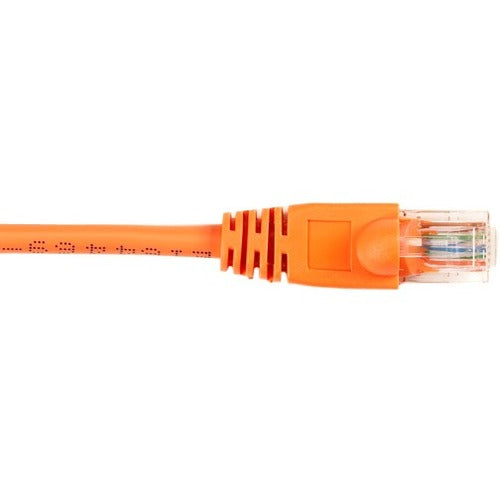 Black Box CAT6 Value Line Patch Cable, Stranded, Orange, 6-ft. (1.8-m) - American Tech Depot