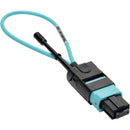 Tripp Lite MTP - MPO Fiber Optic Loopback Tester Multimode 50-125um OM3 - American Tech Depot