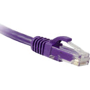 ENET Cat6 Purple 8 Foot Patch Cable with Snagless Molded Boot (UTP) High-Quality Network Patch Cable RJ45 to RJ45 - 8Ft - American Tech Depot