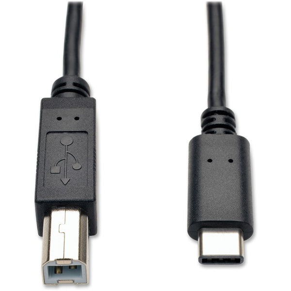 Tripp Lite 6ft USB 2.0 Hi-Speed Cable B Male to USB Type-C USB-C Male - American Tech Depot