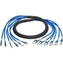 Tripp Lite 6ft Augmented Cat6 Cat6a Pre-Terminated Copper trunk Bundle 6xRJ45 M-F 6' - American Tech Depot