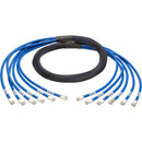 Tripp Lite 6ft Augmented Cat6 Cat6a Pre-Terminated Copper trunk Bundle 6xRJ45 M-M 6' - American Tech Depot