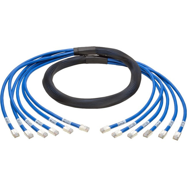 Tripp Lite 10ft Augmented Cat6 Cat6a Pre-Terminated Copper Trunk Bundle 6xRJ45 M-M 10' - American Tech Depot