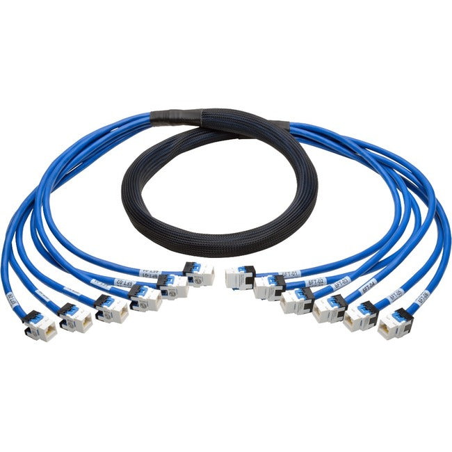 Tripp Lite Augmented Cat6-Cat6a Pre-Terminated Copper Trunk Bundle, (6x) RJ45 (F-F), 6 ft - American Tech Depot