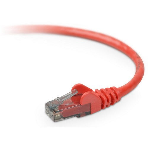 Belkin Cat. 6 UTP Patch Cable - American Tech Depot