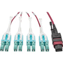 Tripp Lite 5M MTP MPO 8xLC 50-125 OM4 Fanout Patch Cable 12 Fiber 40GB CMP - American Tech Depot