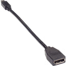 Black Box Video Adapter Dongle - Mini DisplayPort 1.2 To DisplayPort - American Tech Depot