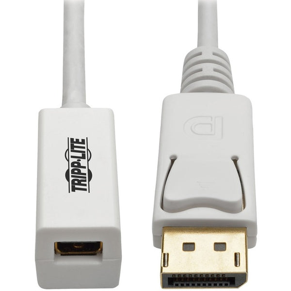 Tripp Lite 6in DisplayPort to Mini DisplayPort Adapter Cable 4k x 2k @ 60Hz M-F 6" - American Tech Depot
