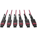 Tripp Lite 24-Fiber MTP MPO OM4 Base-8 MMF Trunk Cable 40-100GbE 3X, 15M - American Tech Depot