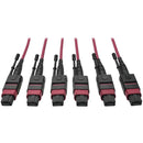 Tripp Lite 24-Fiber MTP MPO OM4 Base-8 MMF Trunk Cable 40-100GbE 3X, 61M - American Tech Depot