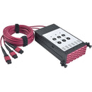 Tripp Lite OM4 40 GB to 10 GB Fiber Optic Cassette x3 MTP-MPO to x12 LC Duplex - American Tech Depot