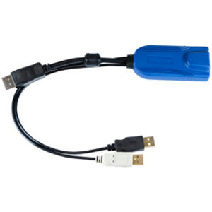 Raritan USB-DisplayPort KVM Cable - American Tech Depot
