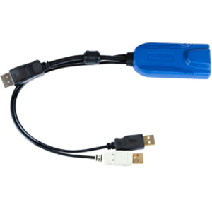 Raritan USB-DVI Video-Data Transfer Cable - American Tech Depot