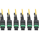 Tripp Lite MTP-MPO APC Singlemode Slim Trunk Cable 40-100 Gbe 24-Strand 45M - American Tech Depot