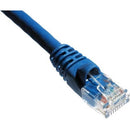 Axiom Cat.6a UTP Network Cable - American Tech Depot