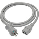 Tripp Lite Hospital Medical Power Cord 20A 12AWG 5-20P to C19 125V 6ft 6' - American Tech Depot