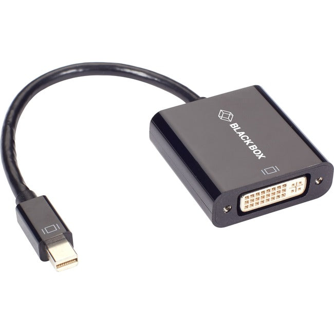 Black Box Mini Displayport-DVI-I Video Cable - American Tech Depot