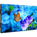 NEC Display 55" Ultra-Narrow Bezel Professional-Grade Display