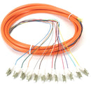 Black Box 3m LC OM1 62.5-Micron MM Fiber Pigtail 12-Strand OFNR PVC Orange