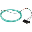 Black Box 3m SC OM3 50-Micron MM Fiber Pigtail 6-Strand OFNR PVC Aqua