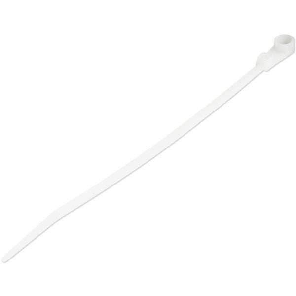 StarTech.com 6"(15cm) Cable Ties with Mounting Hole, 1-1-2"(40mm) Dia, 40lb(18kg) Tensile Strength, Nylon Zip Ties, UL Listed, 100 Pack